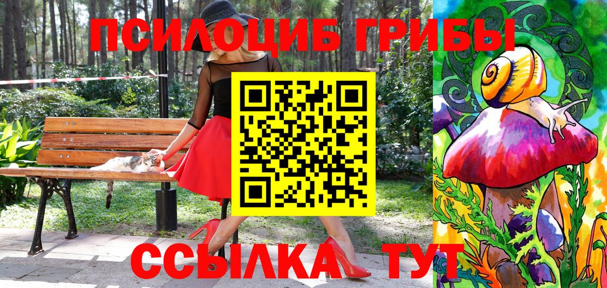 Псилоцибиновые грибы Psilocybe  Псилоцибиновые грибы ЛСД  Баксан  Вход с VPN 