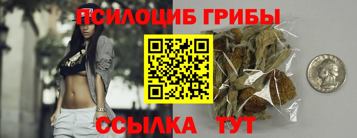 Галлюциногенные грибы GOLDEN TEACHER Баксан